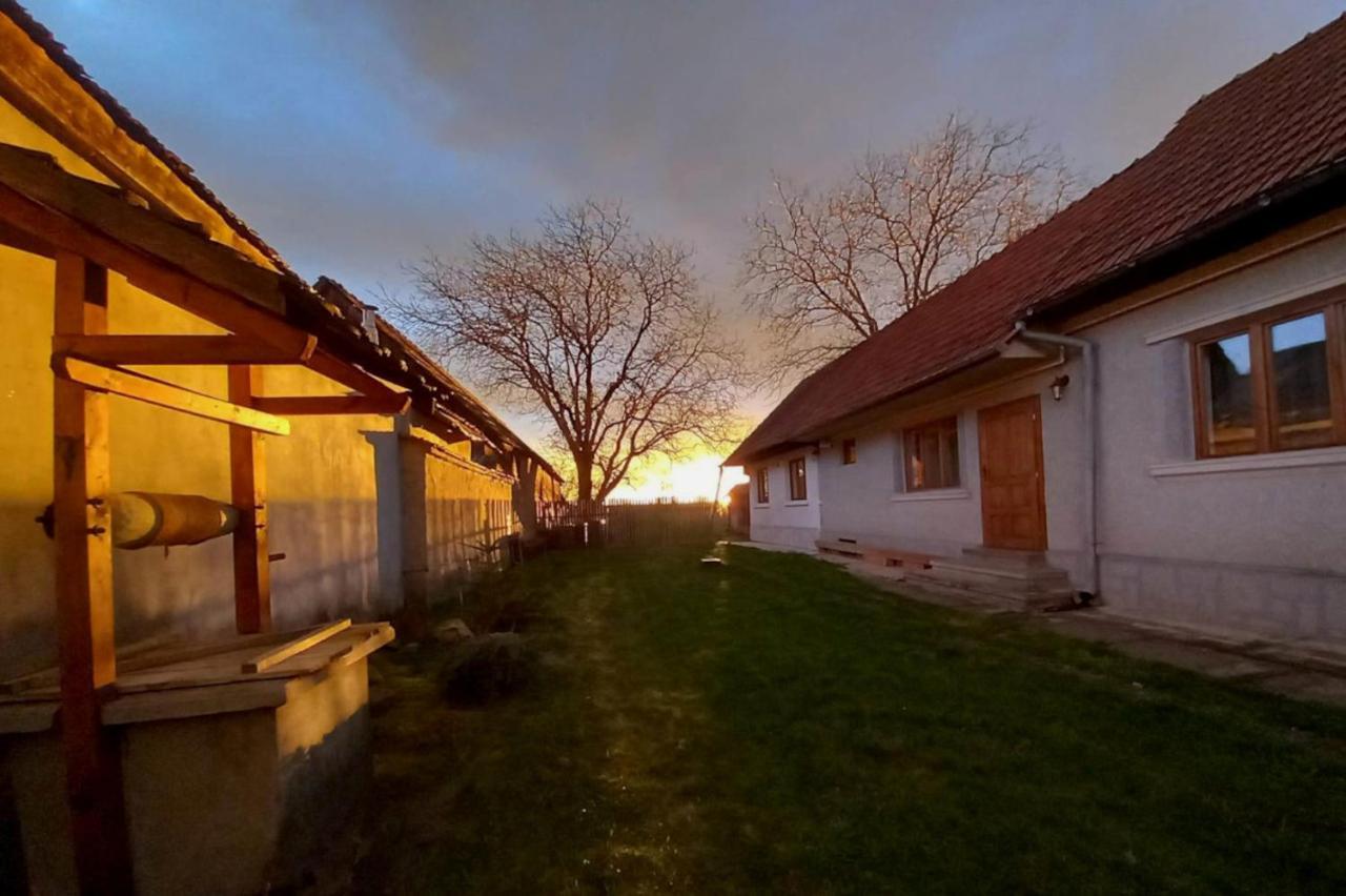 Galeria Turismului Montan Guest House Cârțișoara Exterior photo