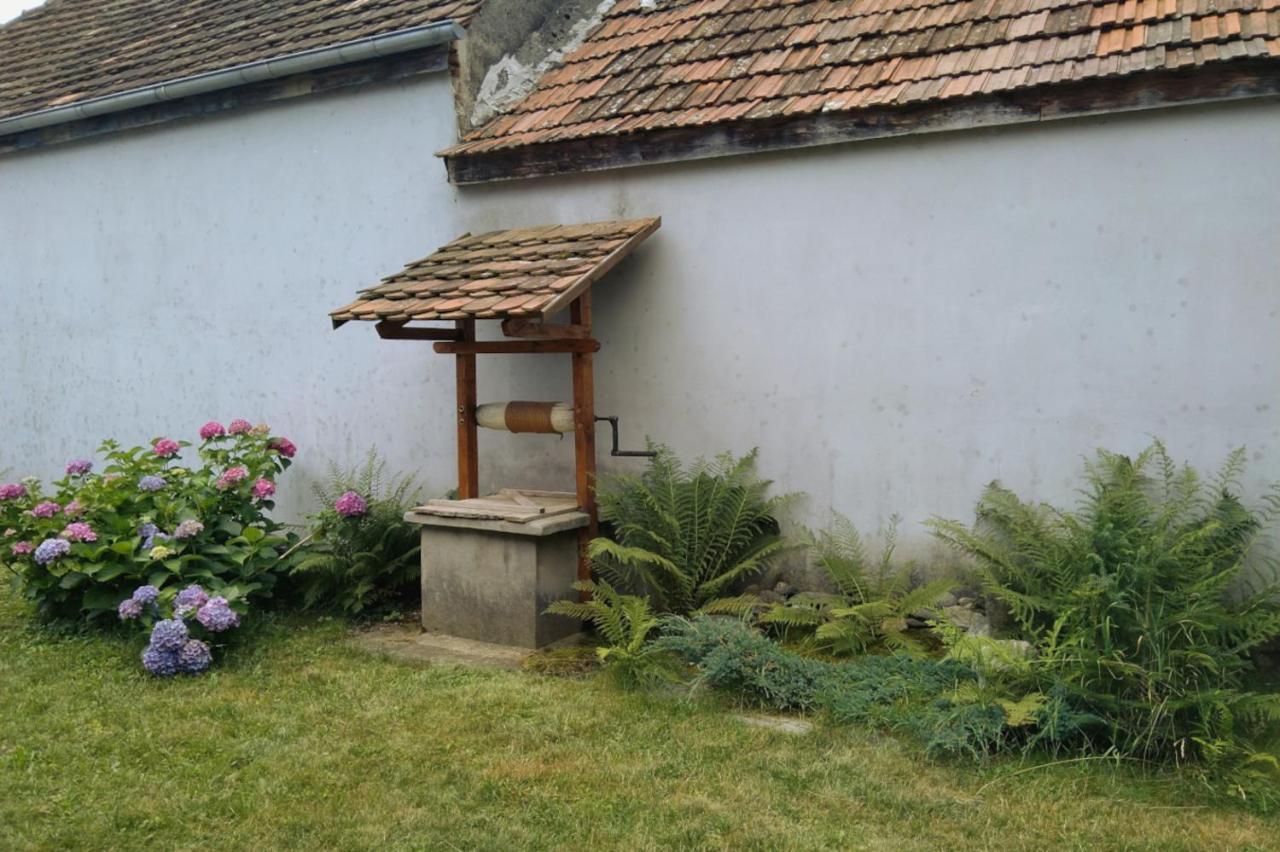 Galeria Turismului Montan Guest House Cârțișoara Exterior photo