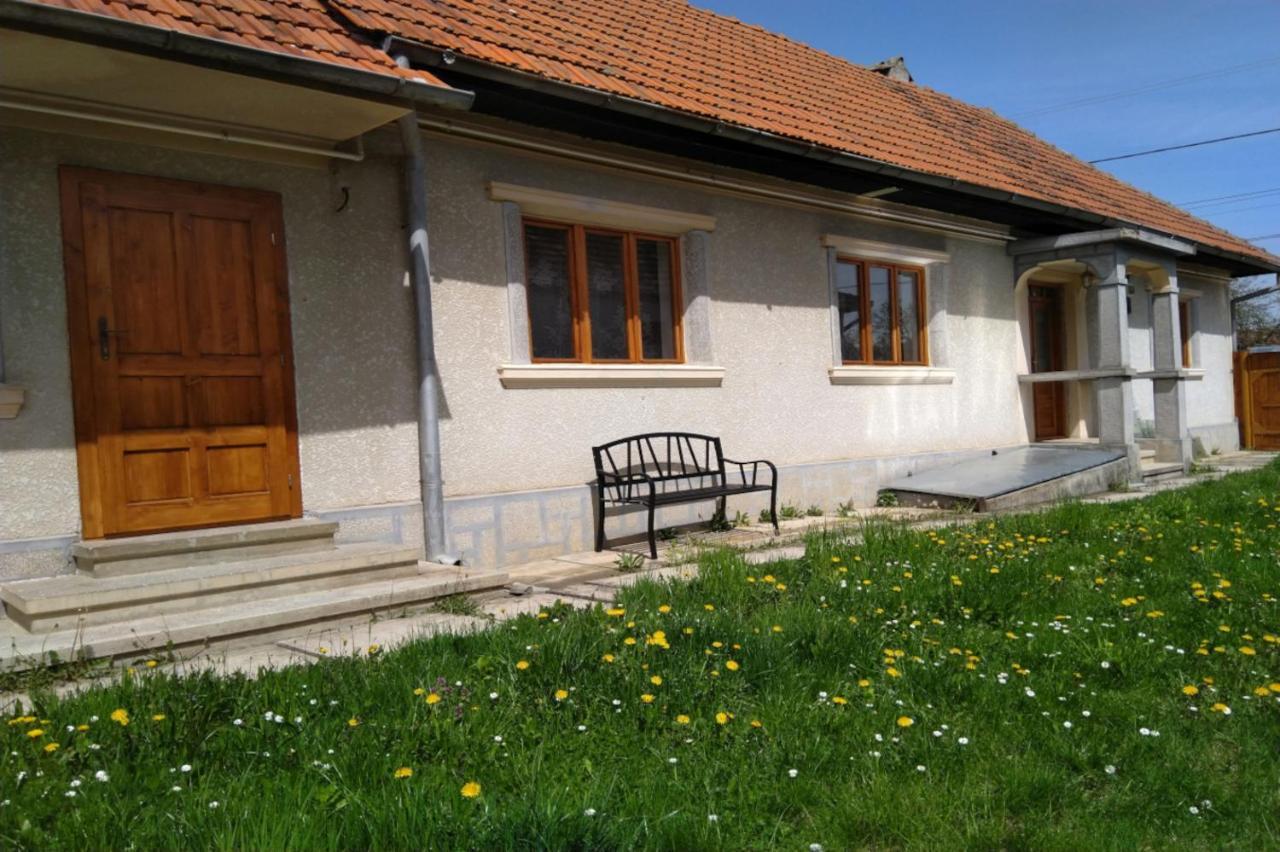 Galeria Turismului Montan Guest House Cârțișoara Exterior photo