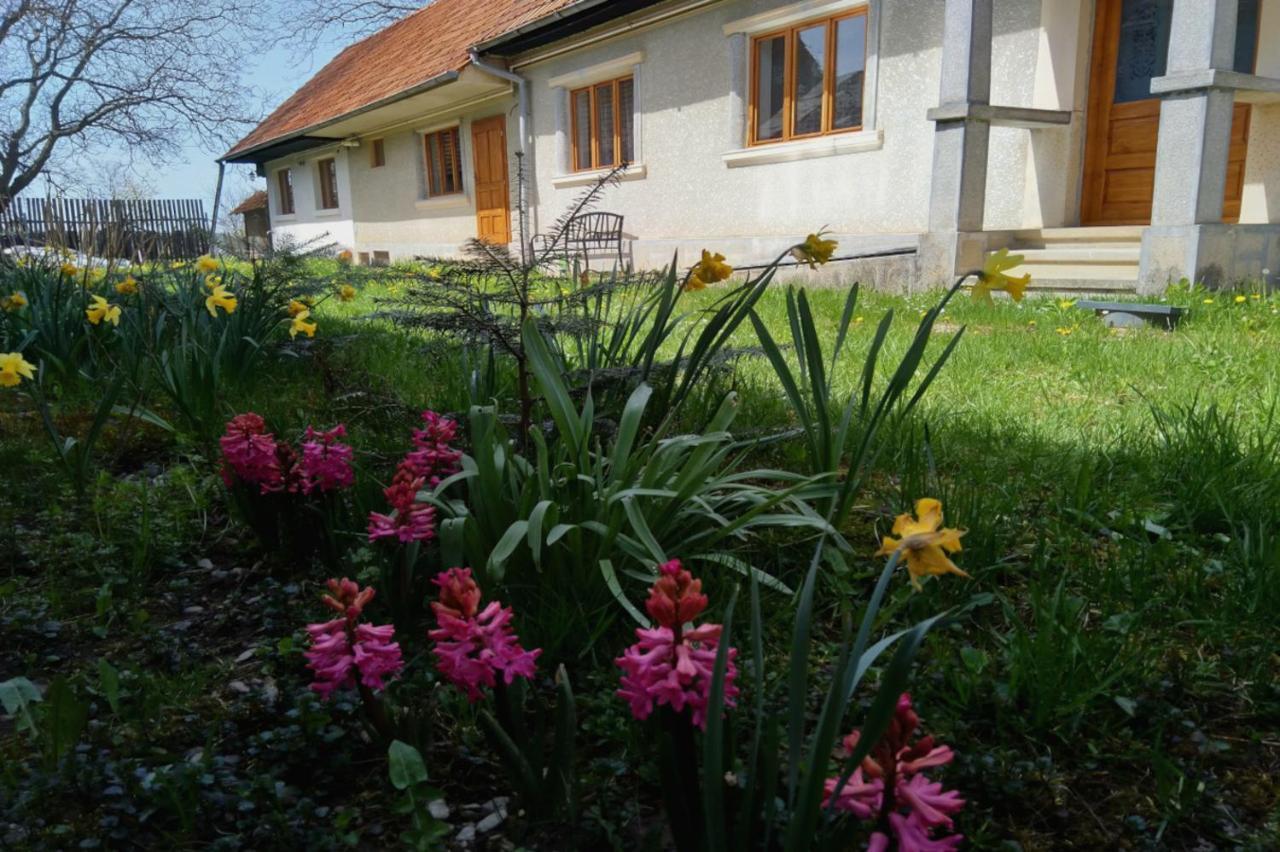 Galeria Turismului Montan Guest House Cârțișoara Exterior photo