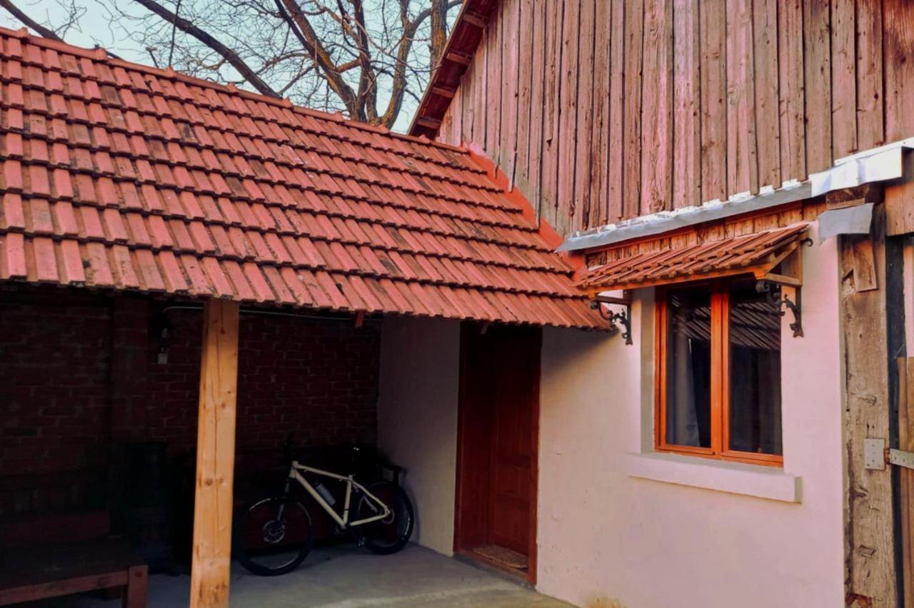 Galeria Turismului Montan Guest House Cârțișoara Exterior photo