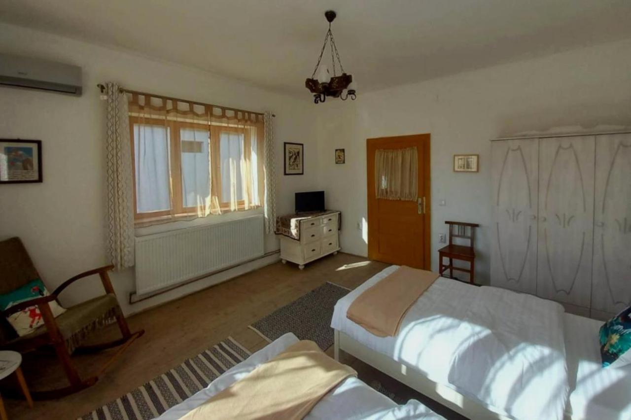 Galeria Turismului Montan Guest House Cârțișoara Exterior photo